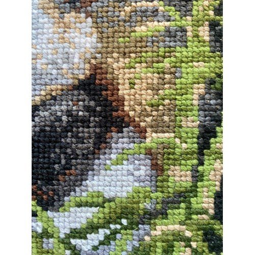 Riolis - Panda con cría