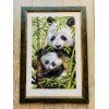 Riolis - Panda con cría