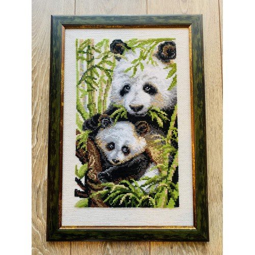 Riolis - Panda con cría
