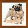 Riolis - Perro pug