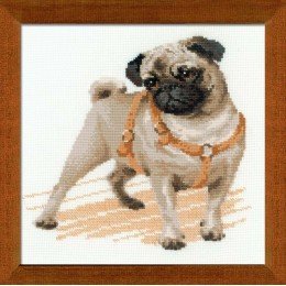 Riolis - Pug Dog