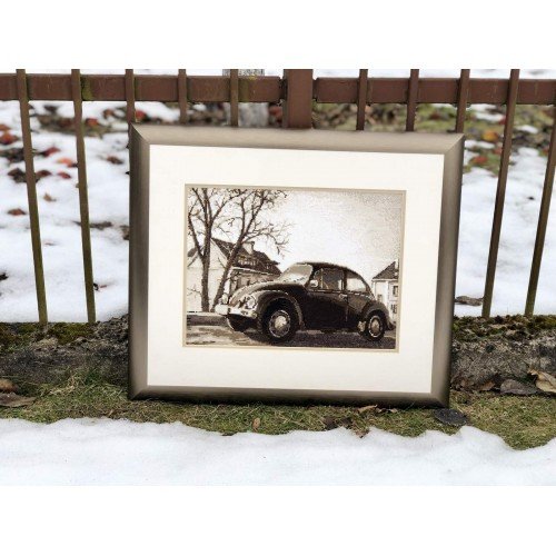 Riolis - The Beetle