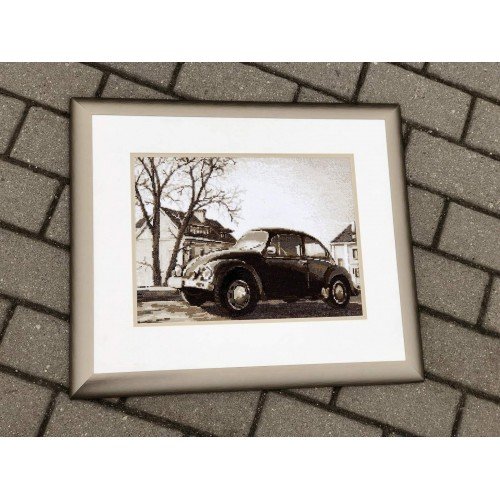 Riolis - The Beetle