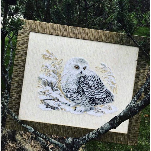 Riolis - White Owl