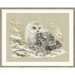 Riolis - White Owl