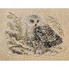 Riolis - White Owl