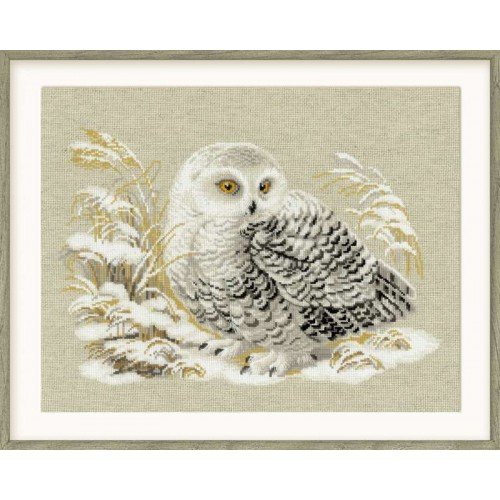 Riolis - White Owl