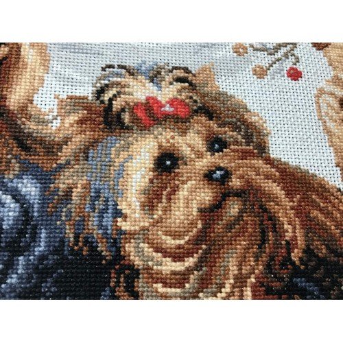 Riolis - Pets