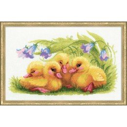 Riolis - Patitos divertidos
