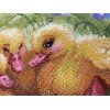 Riolis - Patitos divertidos
