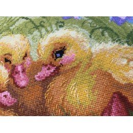 Riolis - Funny Ducklings