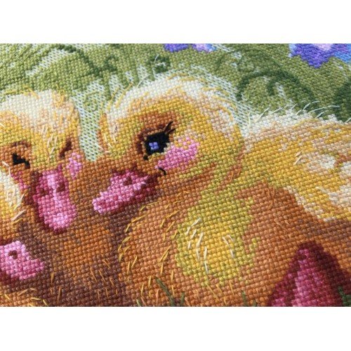 Riolis - Patitos divertidos