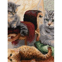 Riolis - Feline Family