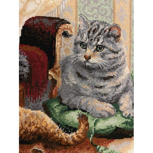 Riolis - Feline Family