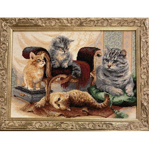 Riolis - Feline Family