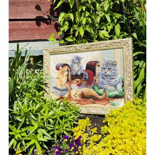 Riolis - Feline Family