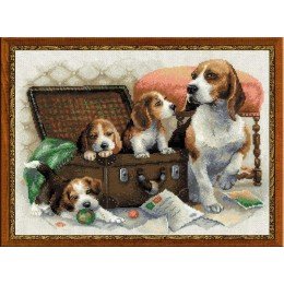 Riolis - Canine Family