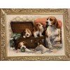 Riolis - Canine Family