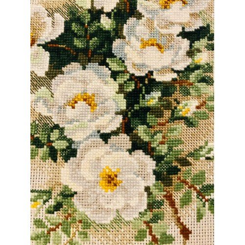 Riolis - White Briar