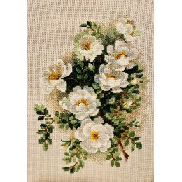 Riolis - White Briar