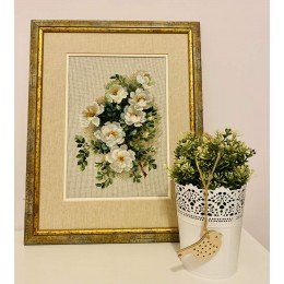 Riolis - White Briar