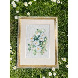 Riolis - White Briar