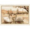 Riolis - Swans. Prague