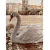 Riolis - Swans. Prague