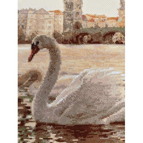 Riolis - Swans. Prague