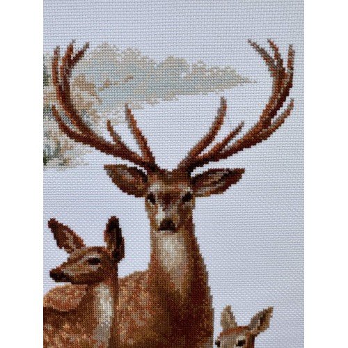 Riolis - Ciervos