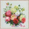 Riolis - Dahlias