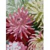 Riolis - Dahlias