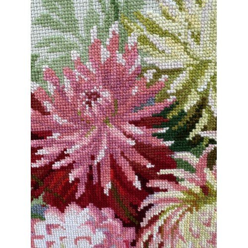 Riolis - Dahlias
