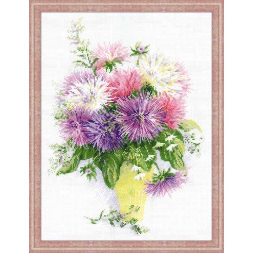 Riolis - Asters