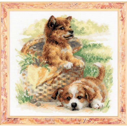 Riolis - Tender Age