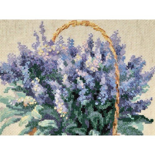 Riolis - French Levander