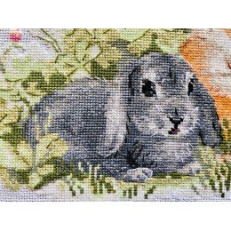 Riolis - Funny Rabbits