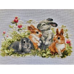 Riolis - Funny Rabbits