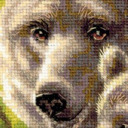 Riolis - Bear with Cub