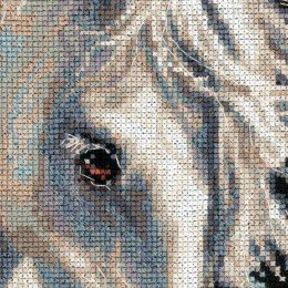 Riolis - Andalusian character