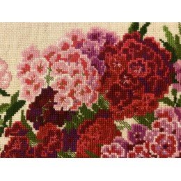 Riolis - Sweet William