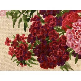 Riolis - Sweet William