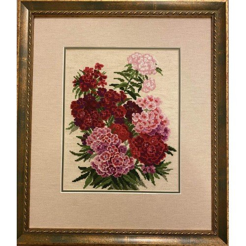 Riolis - Sweet William