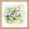 Riolis - Watercolor Jasmine