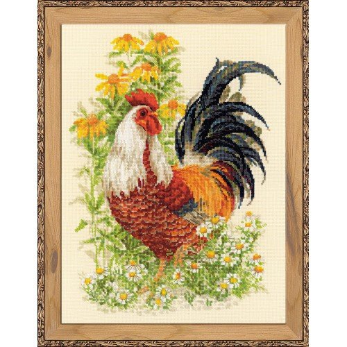 Riolis - Rooster