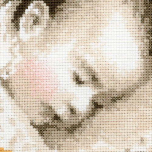 Riolis - Sweet Dreams