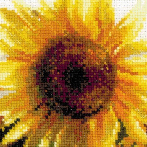 Riolis - Verano caluroso
