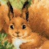 Riolis - Squirrels