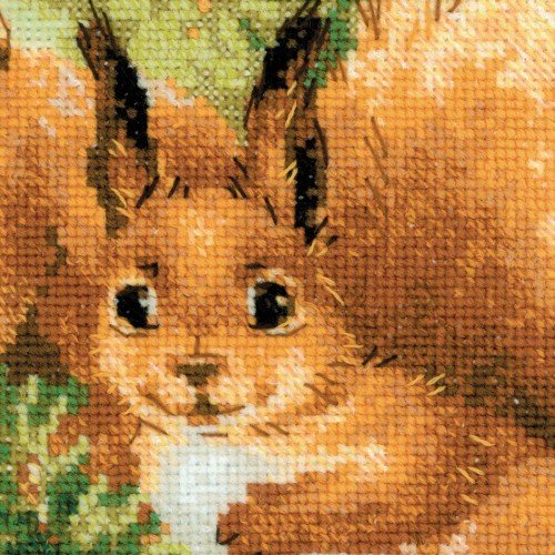 Riolis - Squirrels