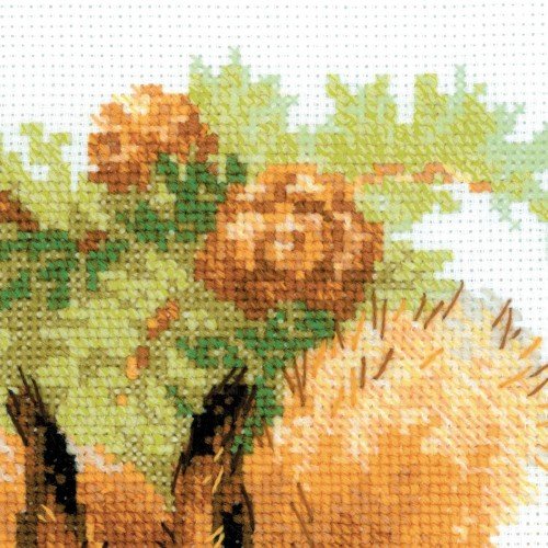 Riolis - Squirrels